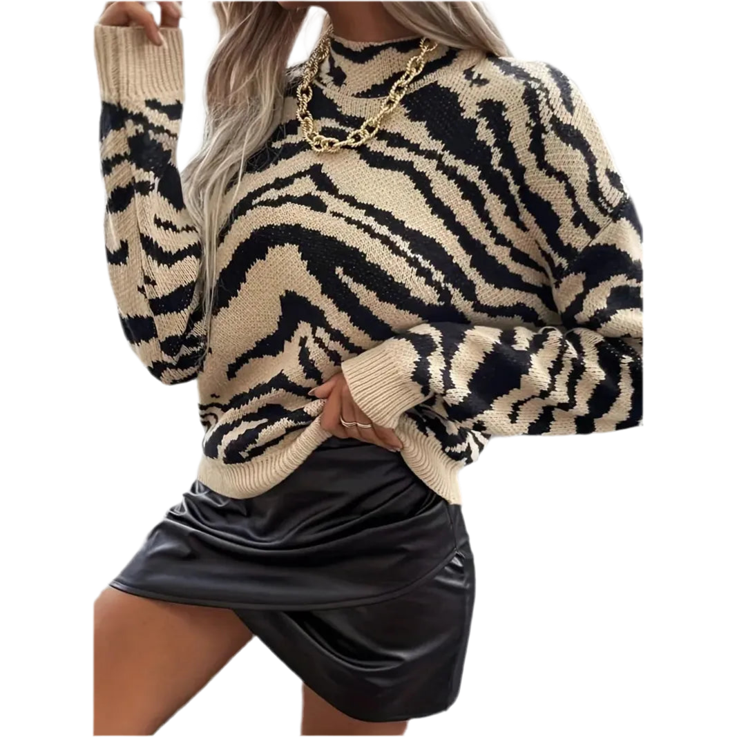 DHM ~ Zebra Print Dress