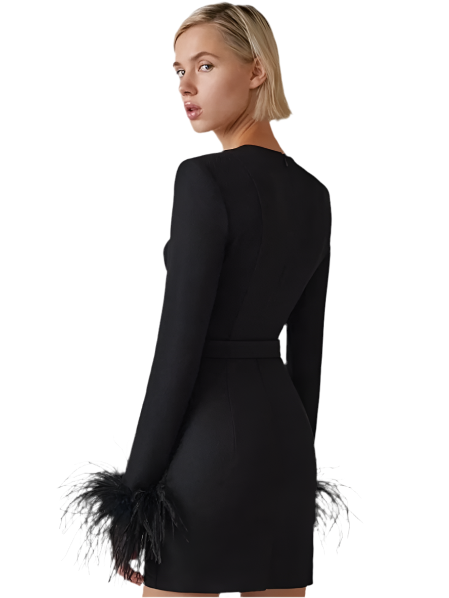 DHM ~ Mini Party Dress
